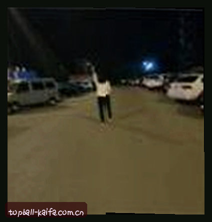 大鹏