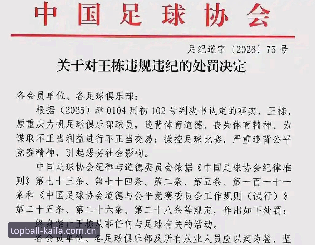 凯发口碑 中国足协第三批禁足名单出炉,凯发平台深度解析赛场诚信实用指南